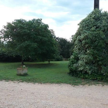 Le Mas Du Berger Saint Quentin la Poterie Bagian luar foto
